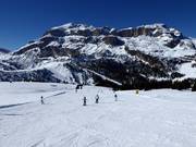 Easy slope Cherz I at Passo Campolongo