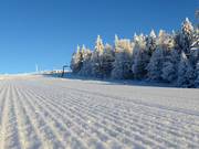 Very good slope grooming in Mitterdorf