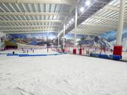 View from the beginner area to the main slope