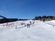 Tip for children  - ArBär -Kinderland children's area