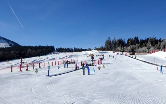 Family ski resorts Zwieseler Winkel – Families and children Arber