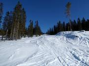 Powder snow run in Hafjell