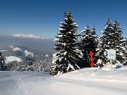 Start of the ski routes at Nob