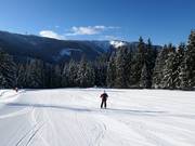 Easy family slope at Großberg