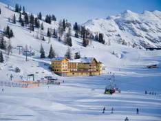 Almhotel & Genussgasthof Hierzegger