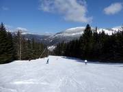 Intermediate slope Červená FIS