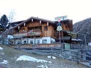 Almrausch in Samnaun-Laret