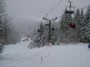 Hohenbogenbahn - 2pers. Chairlift (fixed-grip)