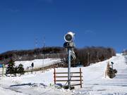 Snow cannon in the Mont Saint-Bruno ski area
