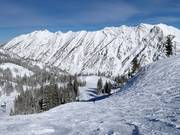 Slope in the Gad Valley