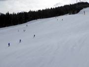 Very good slope grooming