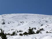Powder slopes in the Markudjik ski center
