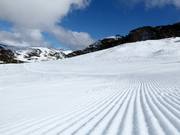 Very good slope grooming in Falls Creek