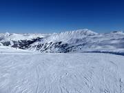 Easy slope Gensbichlalm-Braunkogel