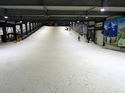 Ideal spot for beginners