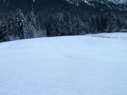 Flat, wide slope at the Schnitzlerwieslift