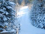 Hohe Bracht 2 - Rope tow/baby lift with low rope tow