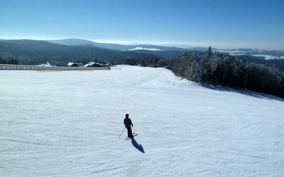 Best ski resort in the County of Freyung-Grafenau – Test report Mitterdorf (Almberg) – Mitterfirmiansreut