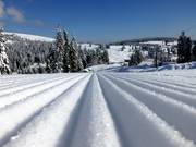 Dream slope at Grafenmatt