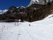 Innerpflersch ski meadow