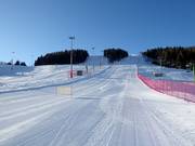 View from the valley station along the Piloni slope
