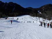 Practice slope at Streidlhang