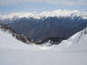 The Caucasus in Sight: Lower Section of Ober Khutor
