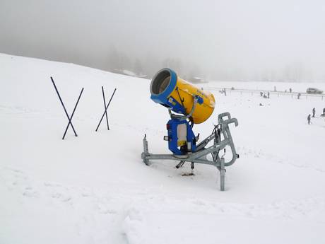 Snow reliability Ammergauer Alpen – Snow reliability Steckenberg – Unterammergau