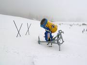Snow cannon at Steckenberg