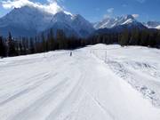 Easy valley run to Ftan