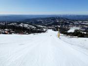 Slope Bøseterbakken No. 28