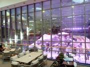 View from the Mall of Egypt into the indoor ski hall