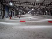 View of the long slope