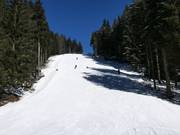 Black slope Neklid Karásek II.