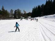Separately operated rope lift B at Aleko (not included in the regular ski pass)