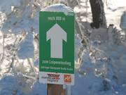 The entire Willingen cross-country trail network is excellently signposted.