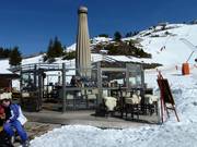 Umbrella bar at Murmelebau