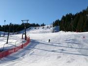 FIS downhill