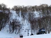 West Tiger Pair Lift - 2pers. Chairlift (fixed-grip)