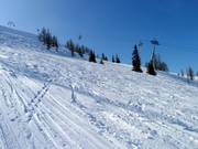 Expansive powder snow slopes