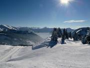 Fallenboden Run South