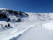 View of slopes No. 11 Prisco and No. 8 Monte Rosso