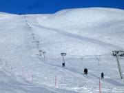 Krani-trekket - T-bar