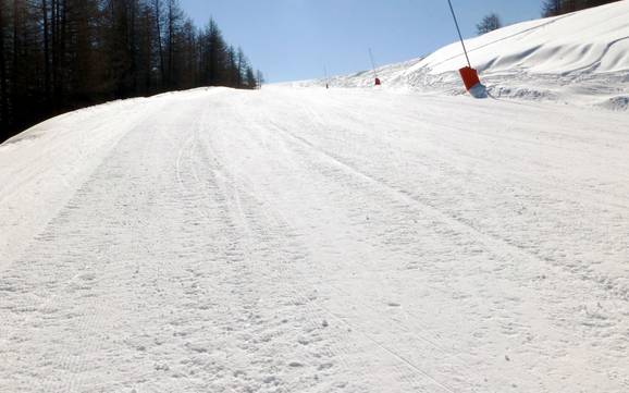 Ski resorts for beginners in the Vallée de la Tinée – Beginners Auron (Saint-Etienne-de-Tinée)