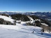 Upper section of the valley run Carnia