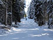 Skilift Vigil I (Seehof) - J-bar