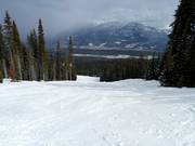 Typical forest glade run in the Kicking Horse ski area