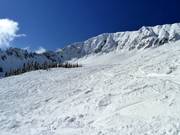 Endless powder slopes in Fernie