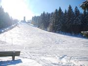 Ideal for grooming, the evenly sloped upper section