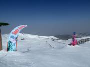 Tip for children  - Shark Fun Trail